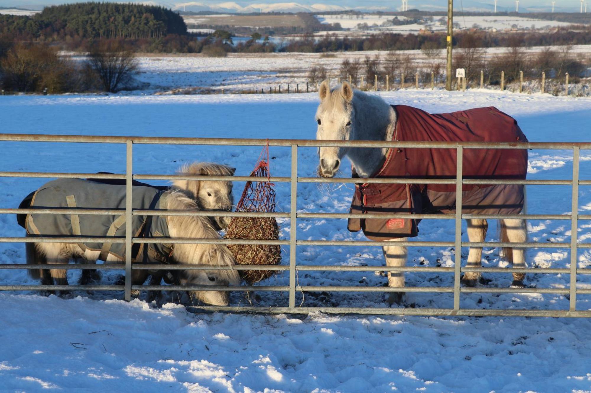 แบลร์เมนส์ เกสท์เฮาส์ Hotel Kirk of Shotts ภายนอก รูปภาพ